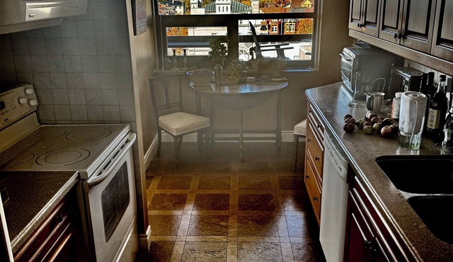 Spacious and bright Condo with stunning views of downtown Kingston. in Kingston