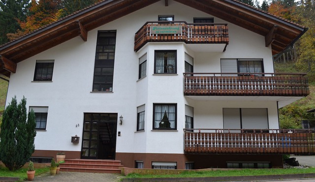 Spacious "Celin" vacation apartment in the heart of the Palatinate Forest in Elmstein