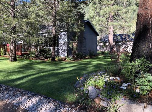 Tahoe Cottage perfect for couples and outdoor enthusiasts in South Lake Tahoe