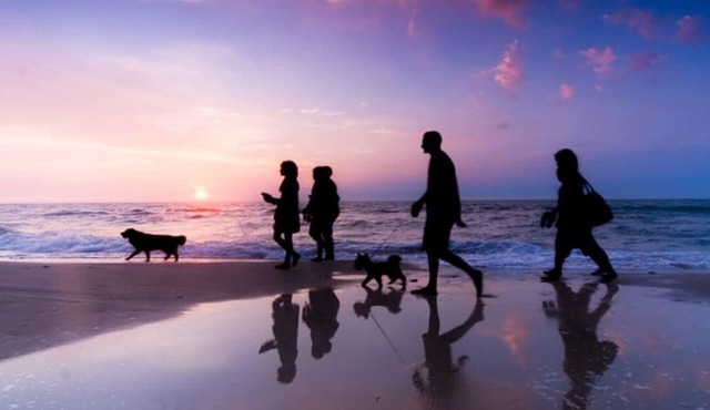 The Sanddollar:Beach~2nd St~Washer/Dryer~Pets OK in Long Beach