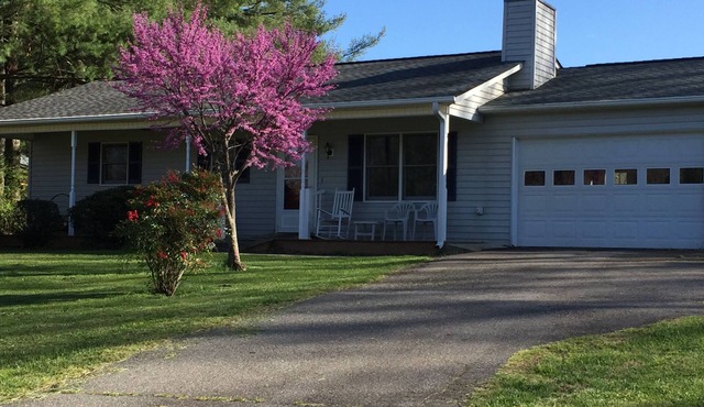 Tranquil Mountain Cottage (Wheelchair Accessible) in Candler