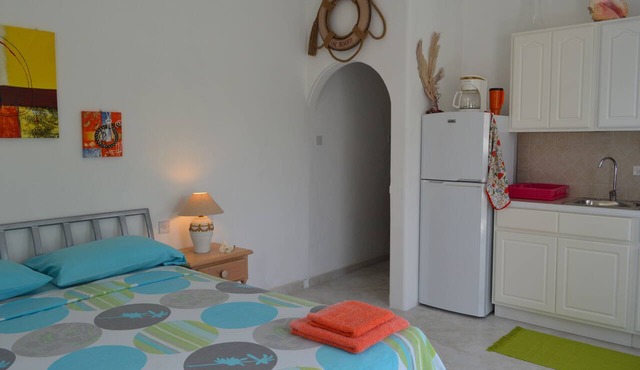 Tropical Gecko Studio in Silver Sands