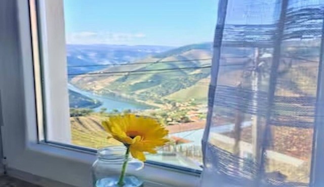 View of the Douro River and Vineyards