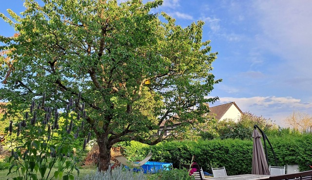 Vrbo Property in Grafschaft