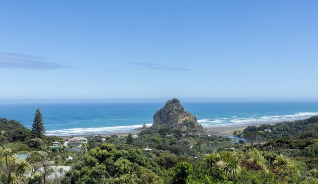 WHEN VIEWS MATTER in Piha