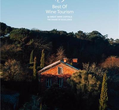 Wine Tourism - Quinta do Ameal