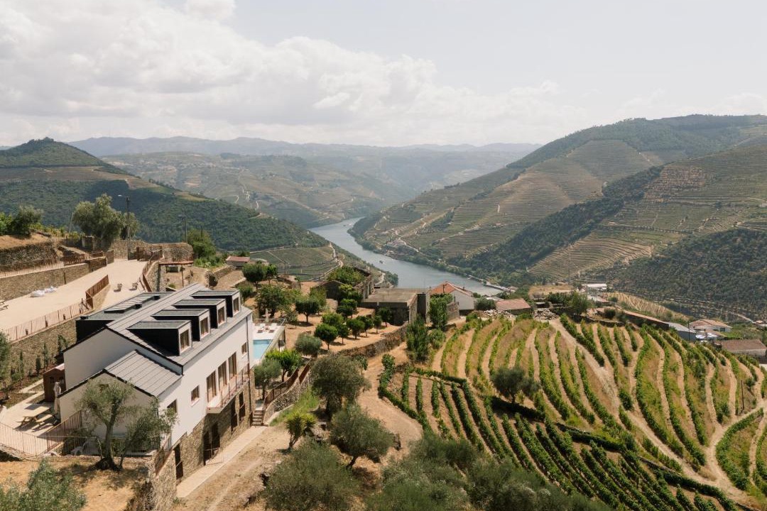 Bomfim Bed & Breakfast | Douro Olive Hills Village - Adults Only - by FERO