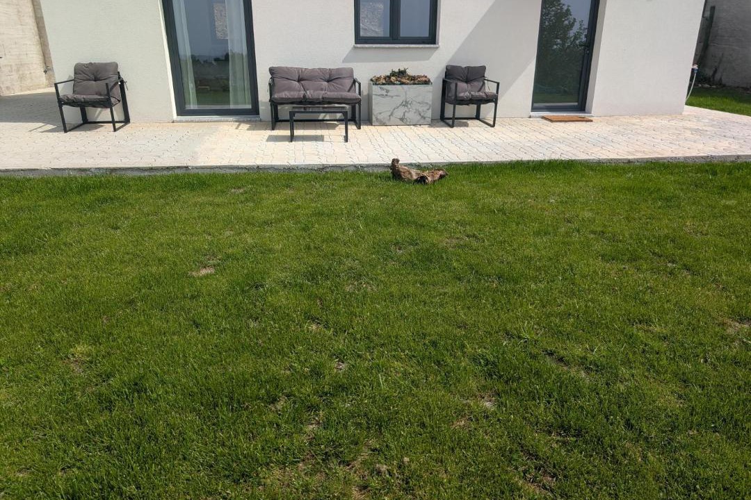 Fafe House | Casa Porta Da Frente