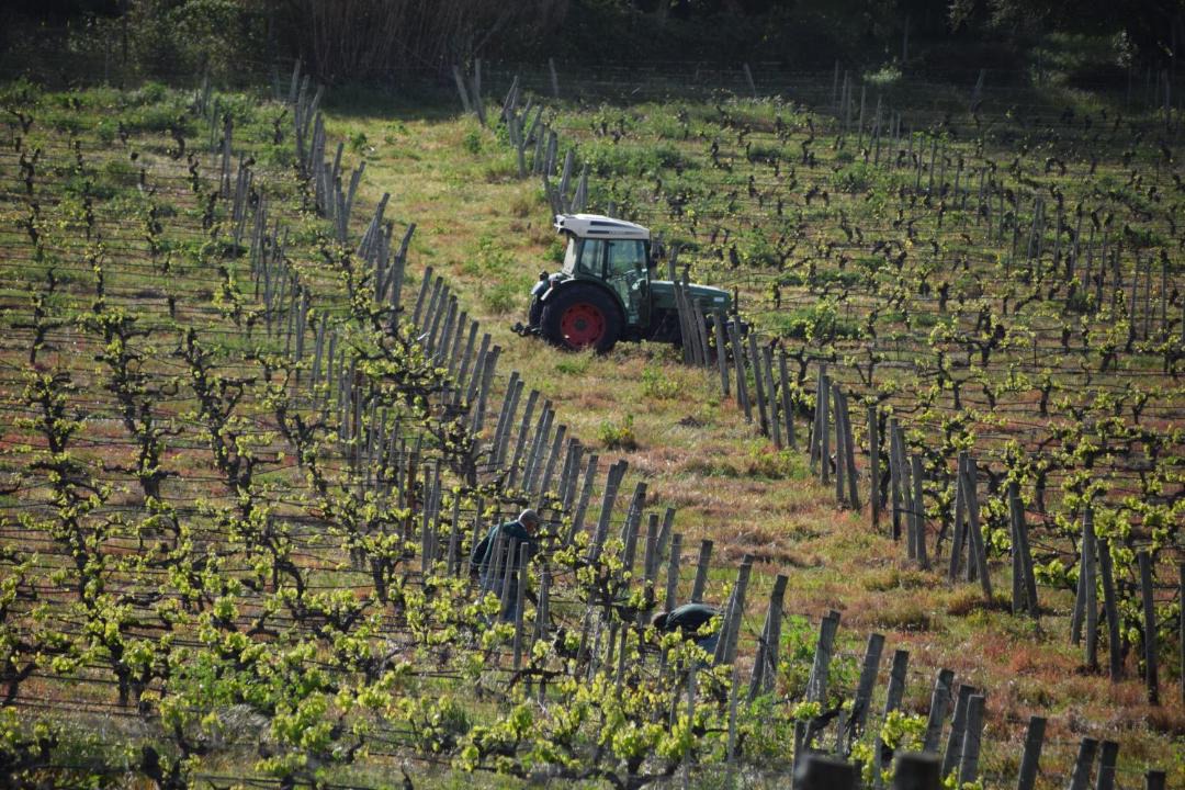 Aldeia de Irmaos House | Quinta De Catralvos