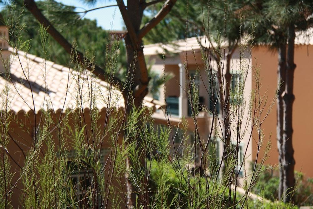 Photo of Others in Oura