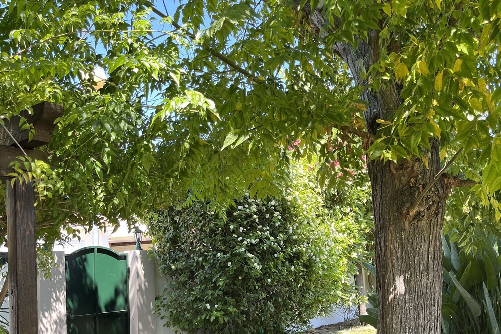 Photo of Outdoor in Sao Lourenco