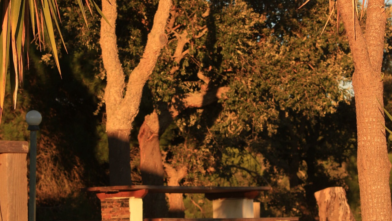 Photo of Outdoor in Sao Francisco da Serra