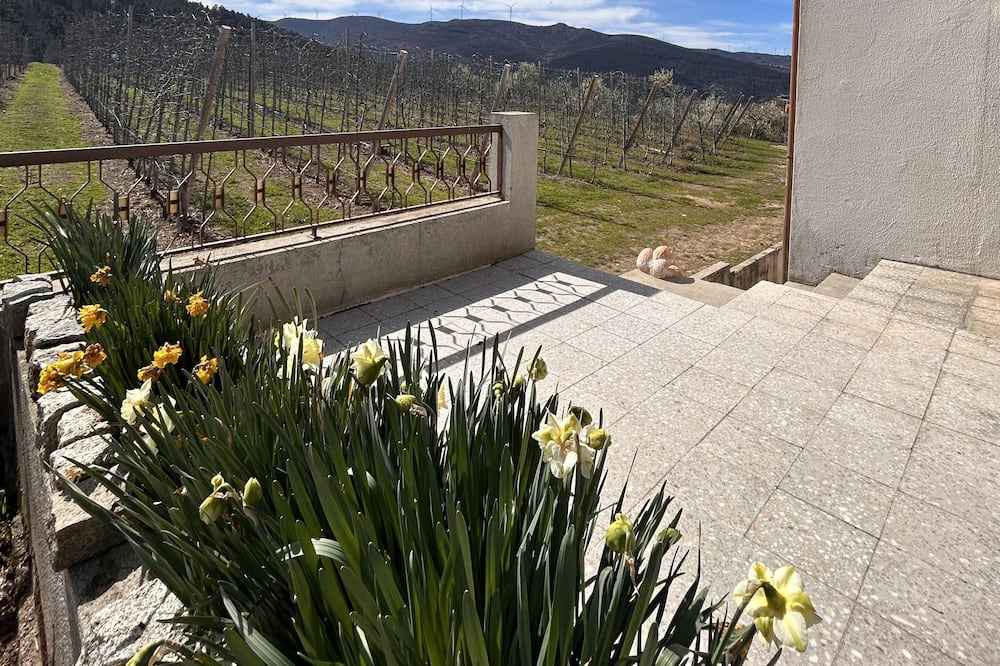 Photo of Outdoor in Lamego