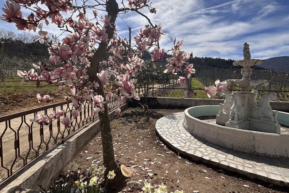 Photo of Outdoor in Lamego