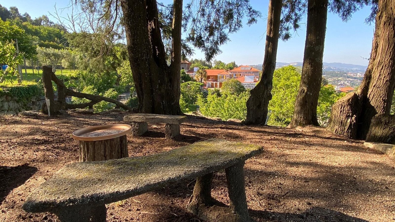 Photo of Outdoor in Sobrado