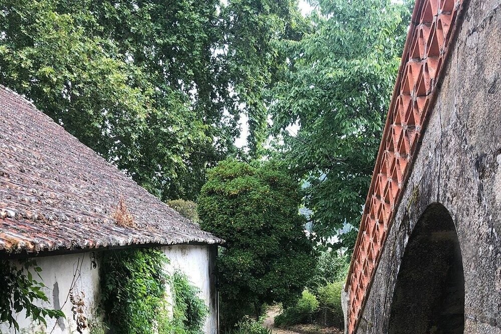 Photo of Outdoor in Cotas