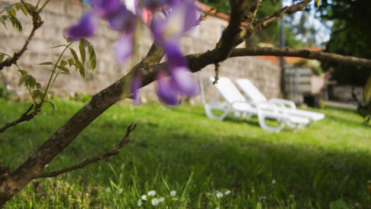 Photo of Patio Balcony in Paredes de Coura