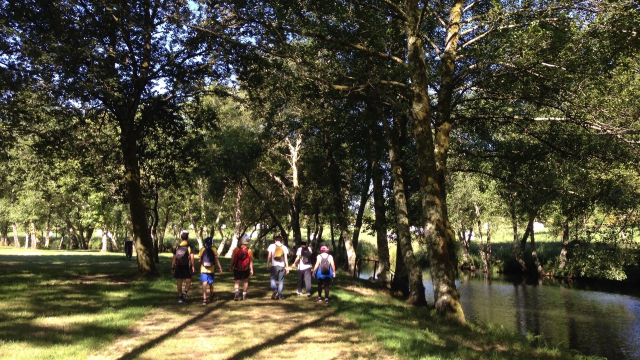Photo of Others in Paredes de Coura