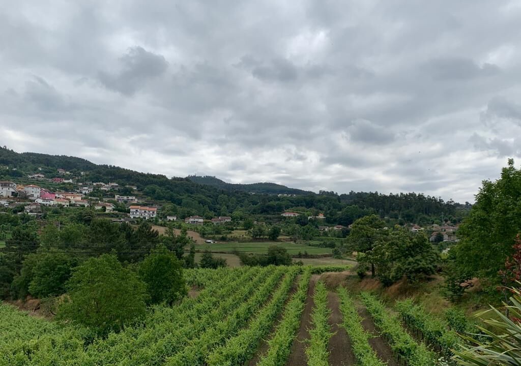Photo of Outdoor in Fareja