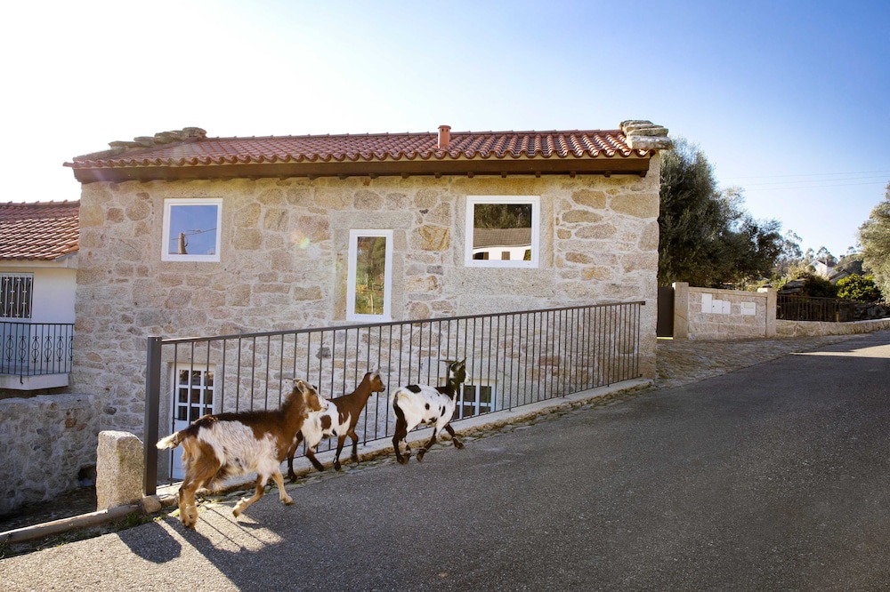 Photo of Outdoor in Arcos de Valdevez