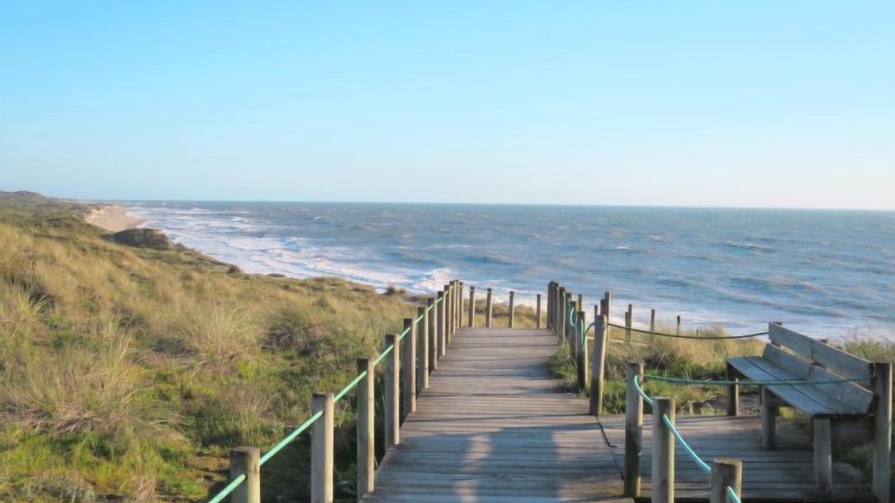 Photo of Others in Marinhas
