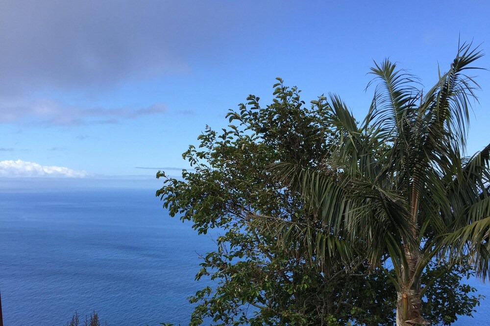 Photo of Others in Calheta