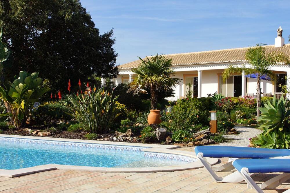 Photo of Outdoor in Barao de Sao Joao