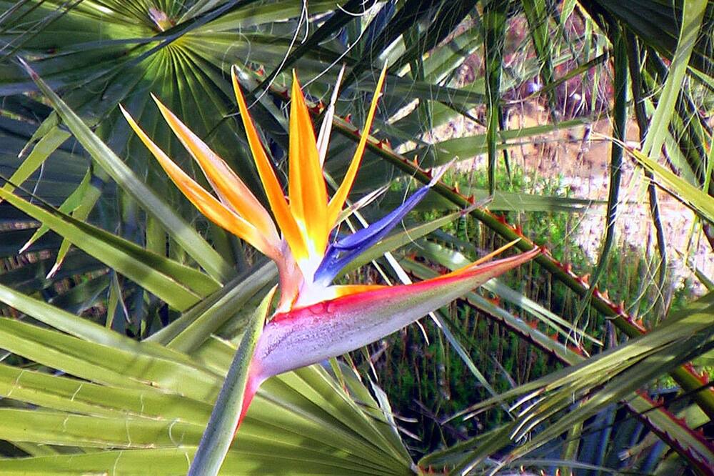 Photo of Outdoor in Barao de Sao Joao