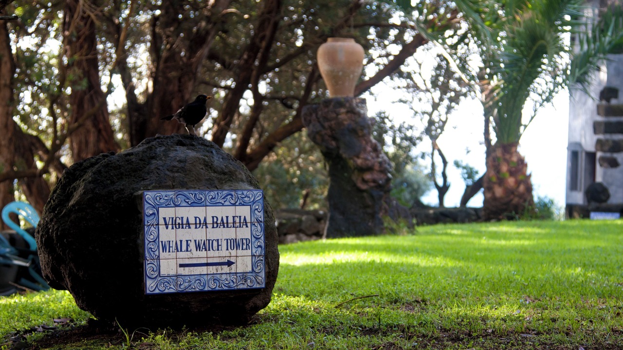 Photo of Outdoor in Lajes do Pico