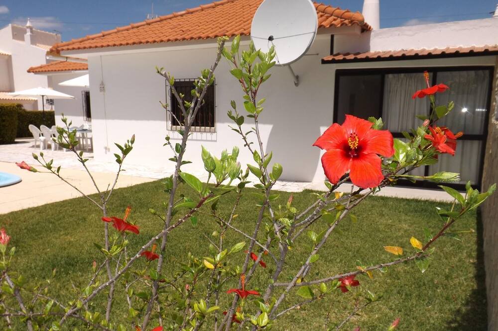 Photo of Outdoor in Vale de Carro