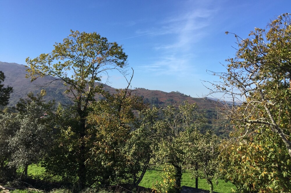 Photo of Outdoor in Cinfaes