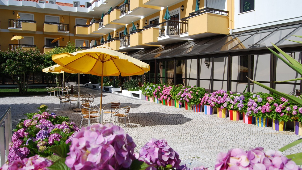 Photo of Outdoor in Monte Real