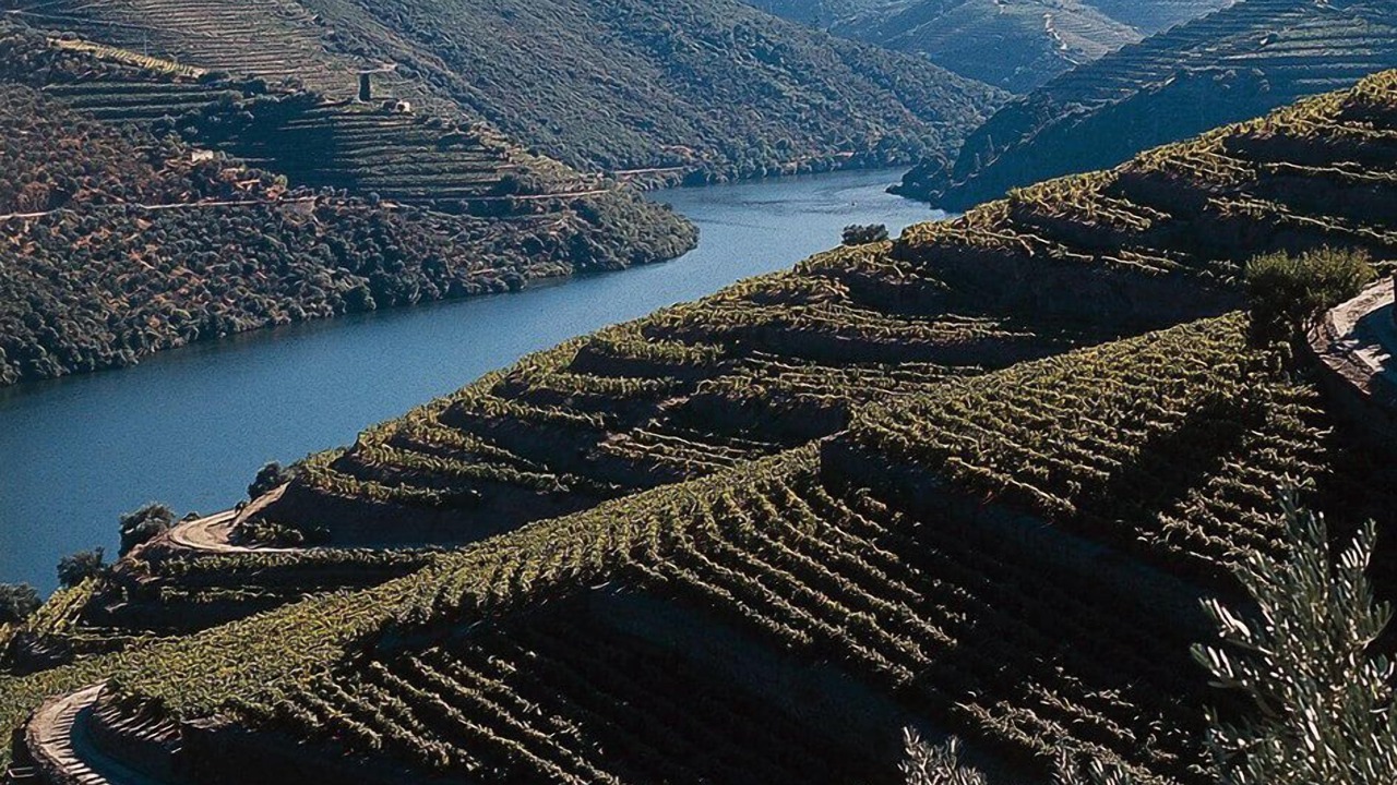 Photo of Others in Lamego