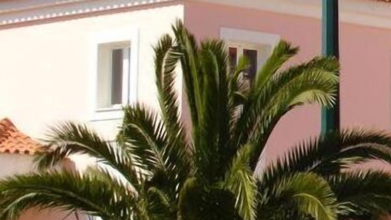 Photo of Outdoor in Fao