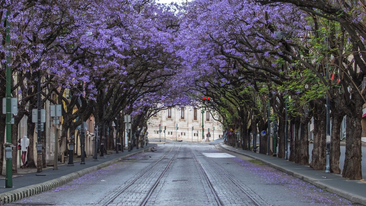 Photo of Outdoor in Santos