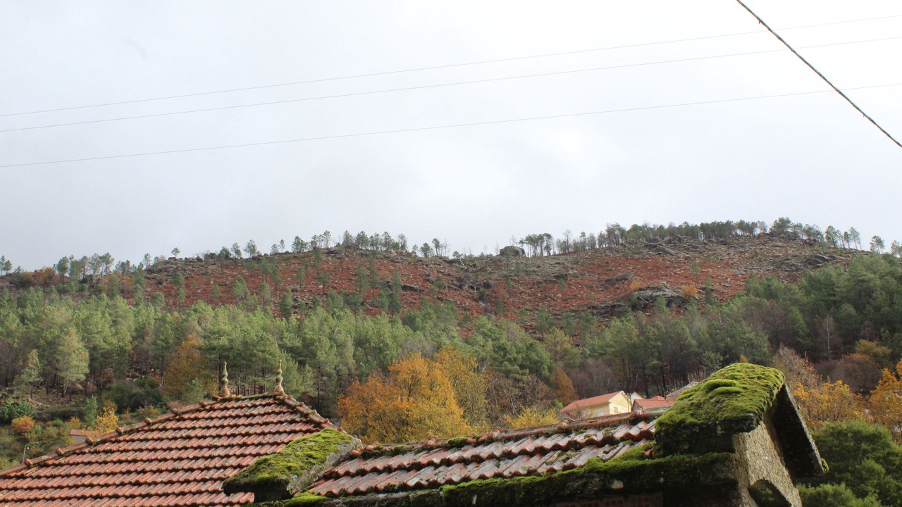 Photo of Others in Peneda