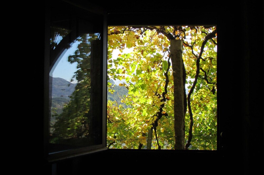Photo of Others in Lindoso