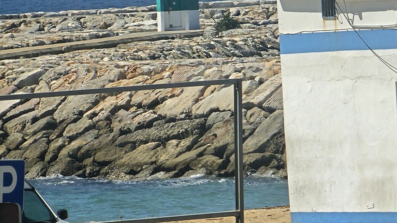 Photo of Patio Balcony in Cavacos