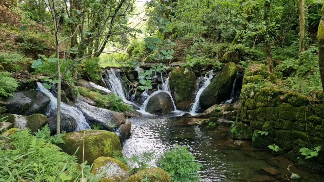 Photo of Outdoor in Fareja