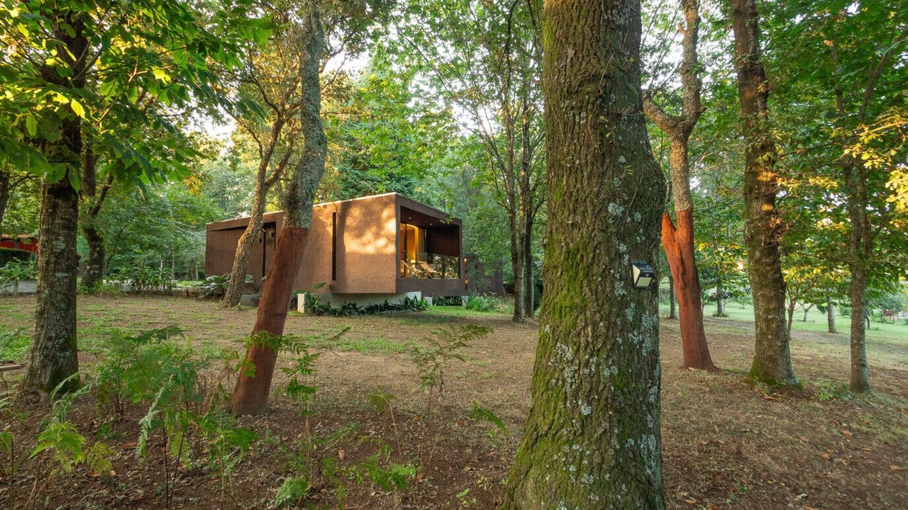 Photo of Outdoor in Barroselas
