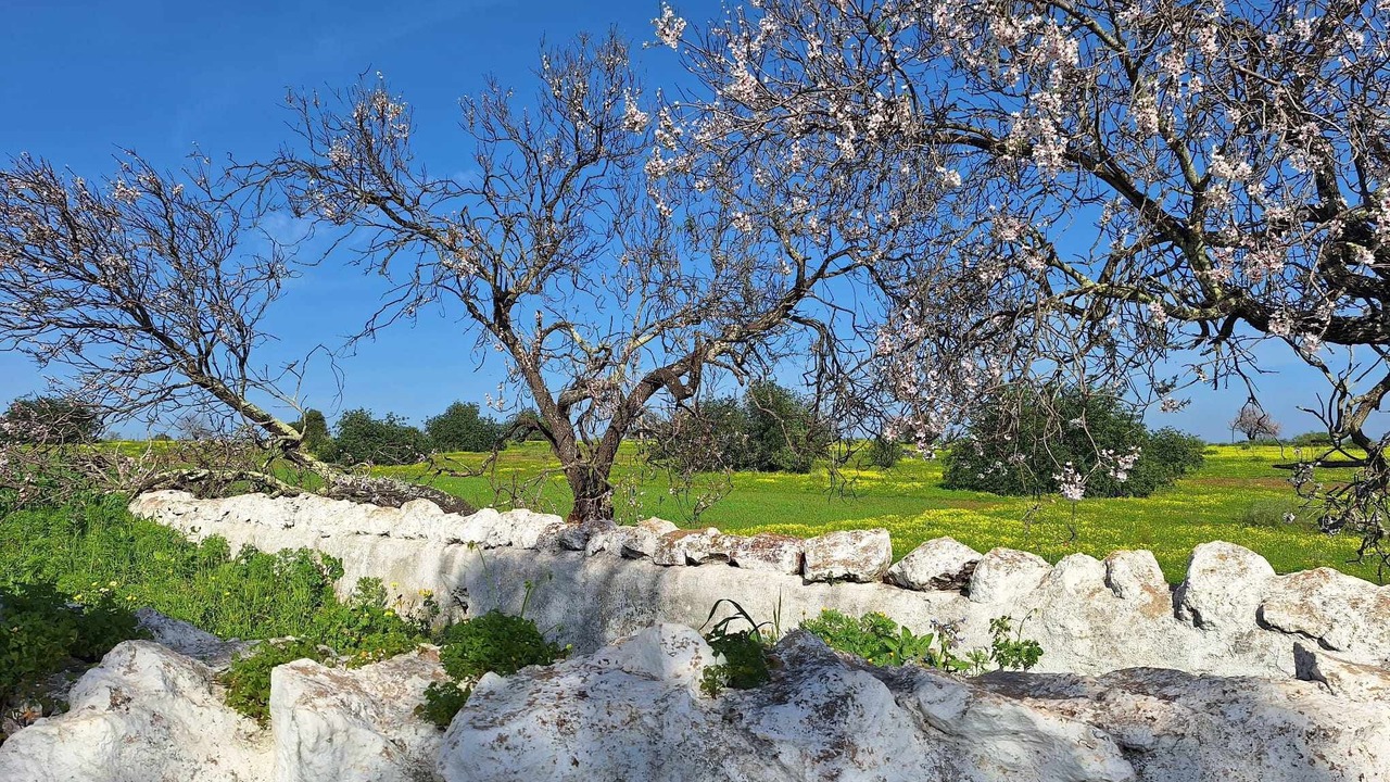 Photo of Outdoor in Vila Real Santo Antonio