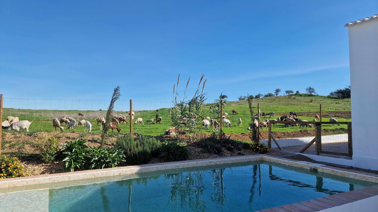 Photo of Outdoor in Vila Real Santo Antonio