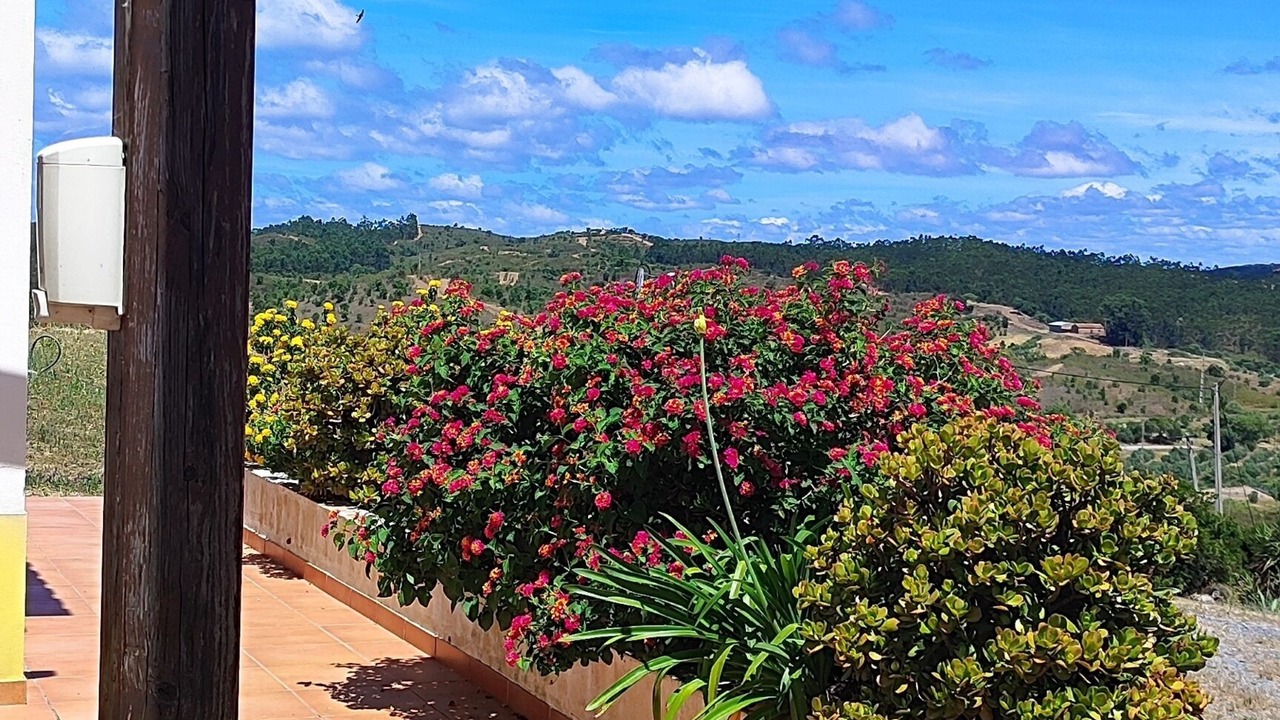 Photo of Outdoor in Barracao