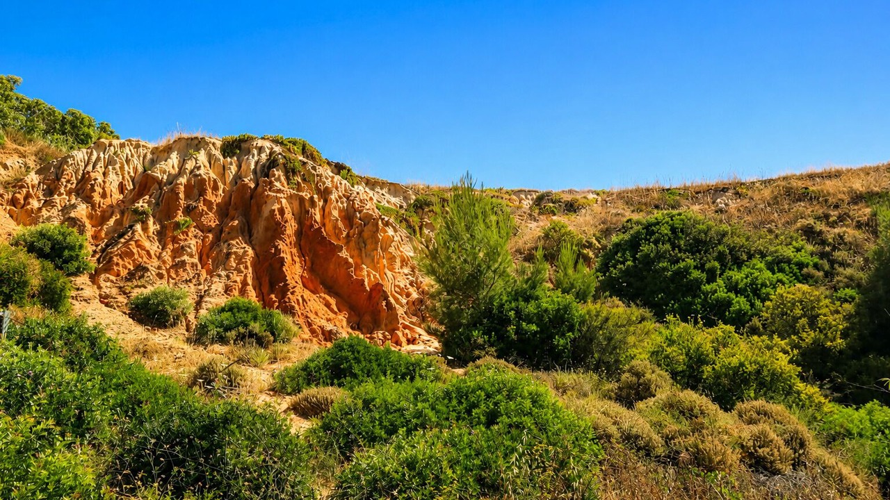 Photo of Outdoor in Prainha