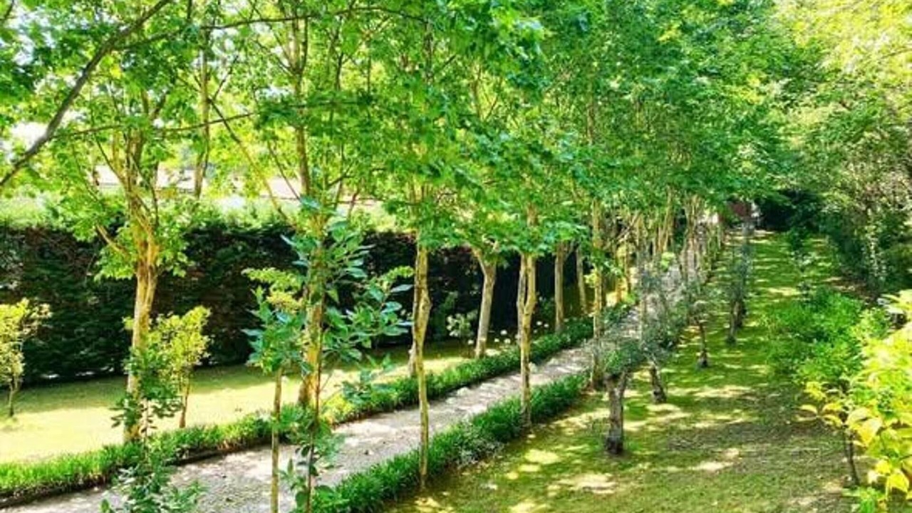Photo of Outdoor in Santa Cruz do Douro