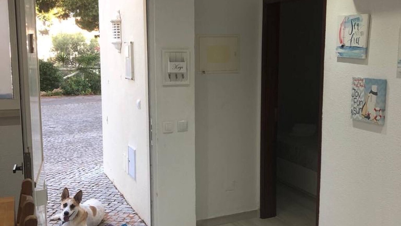 Photo of Others in Vale do Lobo