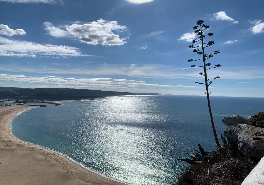 Photo of Others in Nazare