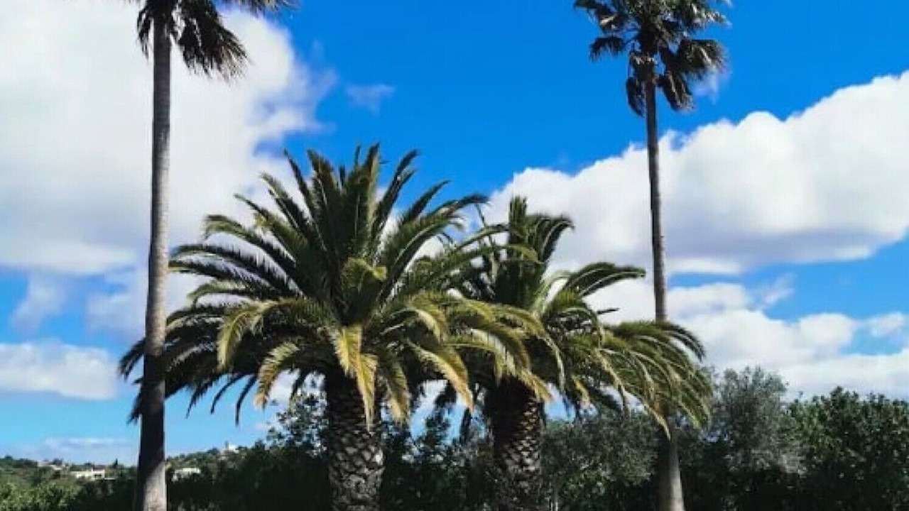 Photo of Outdoor in Olhao