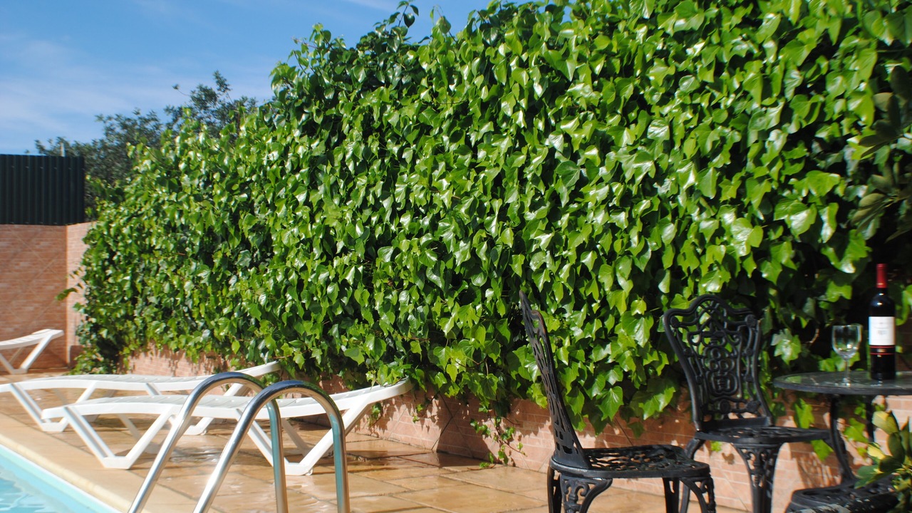 Photo of Outdoor in Vale de Seixos