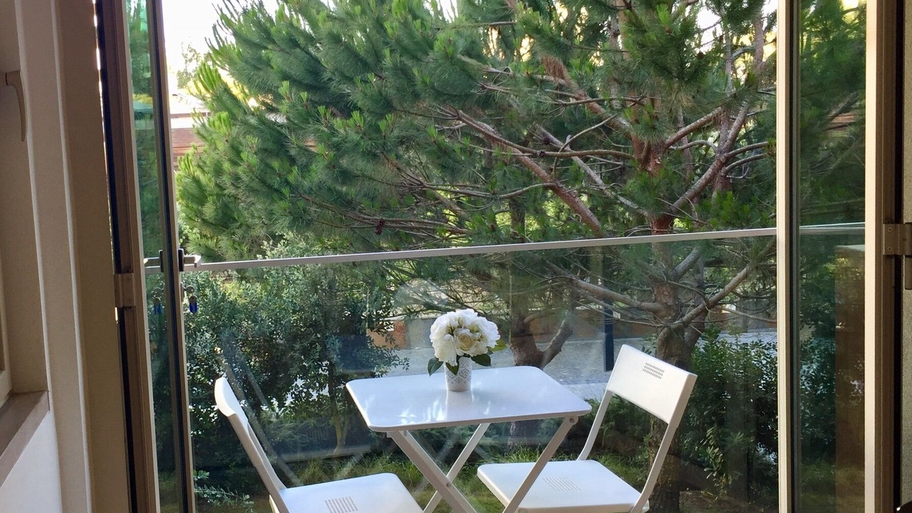 Photo of Outdoor in Carvalhal